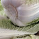 Kínai kel (<i>Brassica pekinensis Rupr. provar. cylindric</i>)