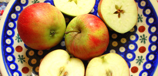 'Stark's Earliest' alma (<i>Malus domestica</i> ''Stark's Earliest'')