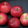 'Jonnee' alma (<i>Malus domestica</i> ''Jonnee Red Jonathan'')