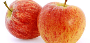 'Gala' alma és változatai (<i>Malus domestica</i> ''Gala'')