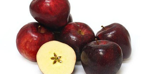 'Redchief Delicious (Campbell)' alma (<i>Malus domestica</i> ''Redchief Delicious Campbell'')