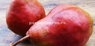 Piros Vilmos körte (<i>Pyrus communis</i> ''Red Williams'')