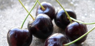 Cseresznye (<i>Cerasus avium</i> 'Szomolyai fekete')