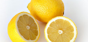 Citrom (<i>Citrus x limon</i>)
