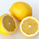 Citrom (<i>Citrus x limon</i>)