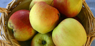 'Arlet' alma ('Swiss Gourmet') (<i>Malus domestica</i> ''Arlet', 'Swiss Gourmet'')